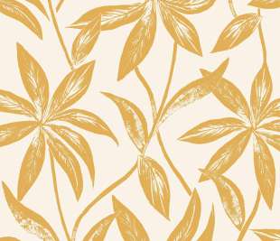 CASELIO_103702020_web