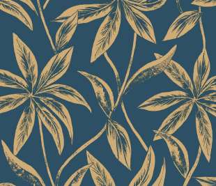 CASELIO_103706060_web