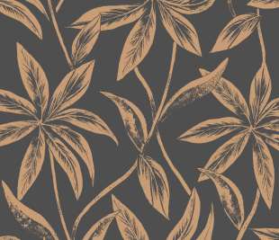 CASELIO_103709050_web