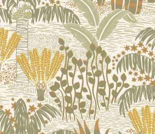 CASELIO_103697024_web