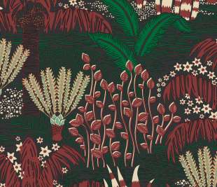 CASELIO_103699080_web