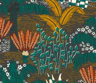 CASELIO_103694237_web