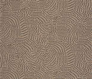 CASAMANCE_75722752_web