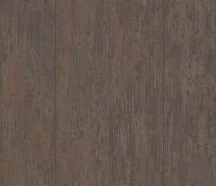 CASADECO_81681422_web