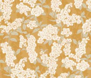 CASADECO_88732272_1_web