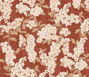 CASADECO_88738744_1_web