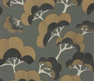 CASADECO_88717530_web