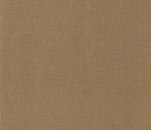 CASELIO_101562320_1_web