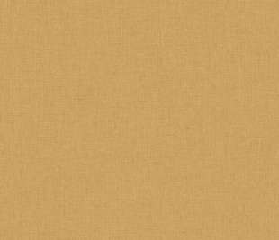 CASELIO_103222120_web