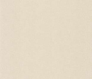 CASELIO_101570026._web