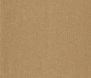 CASELIO_101572490_web