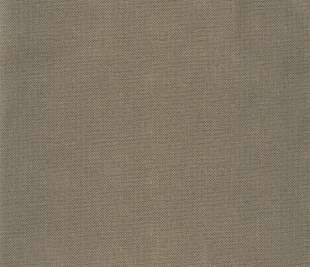 CASELIO_101579120_web