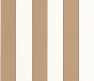 CASELIO_101074044_1_web