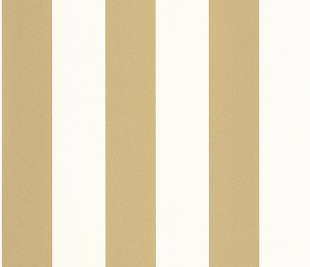 CASELIO_104022020_1_web