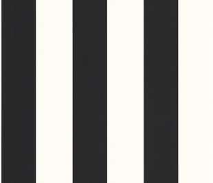 CASELIO_104029290_1_web