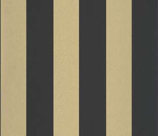 CASELIO_104029329_1_web