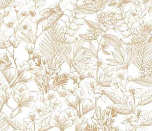 CASELIO_101852010_1_web