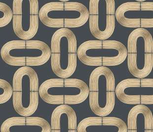 CASELIO_104239219_web