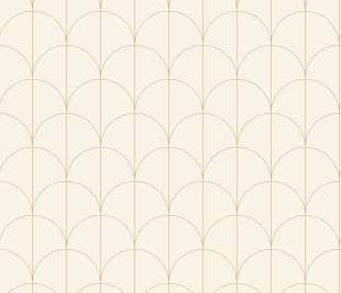 CASELIO_104240253_web