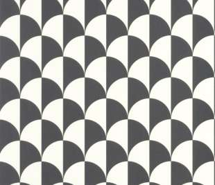 CASELIO_104240926_1_web