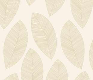 CASELIO_104310213_web