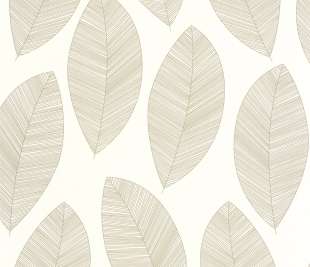 CASELIO_104310213_1_web