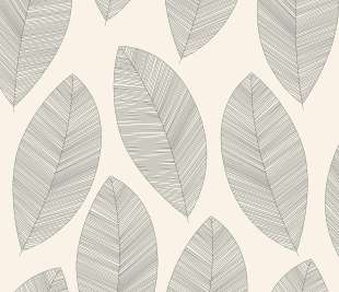 CASELIO_104310927_web