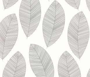 CASELIO_104310927_1_web