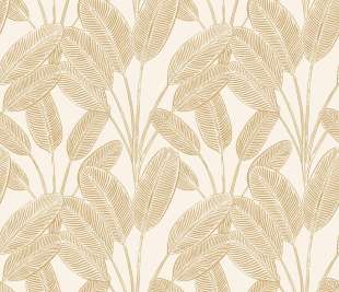 CASELIO_104320247_web