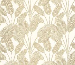 CASELIO_104320247_1_web