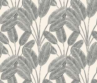 CASELIO_104320931_web