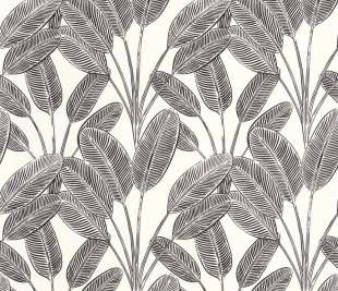 CASELIO_104320931_1_web