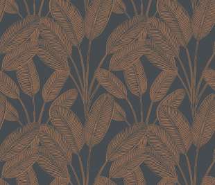 CASELIO_104329451_web