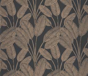 CASELIO_104329451_1_web