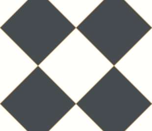 CASELIO_104250964_web