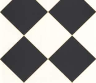 CASELIO_104250964_1_web