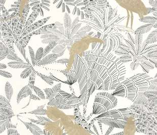 CASELIO_104269911_1_web