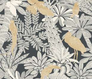 CASELIO_104269243_web