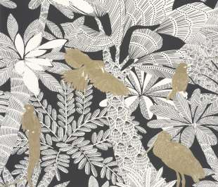 CASELIO_104269243_1_web