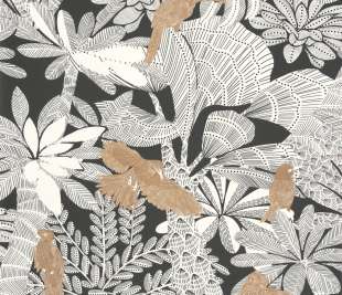 CASELIO_104268123_1_web