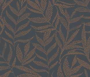 CASELIO_104309427._web