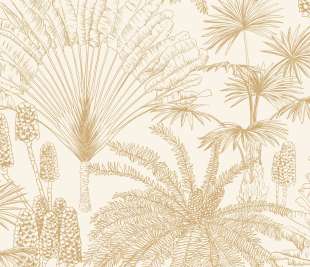 CASELIO_104330233_web