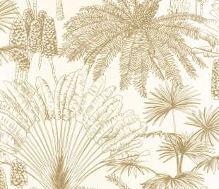 CASELIO_104330233._1_web