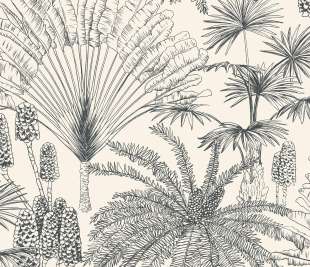 CASELIO_104330956_web