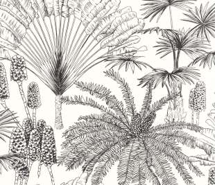 CASELIO_104330956_1_web