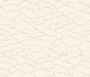 CASELIO_104370224_web