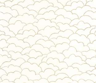 CASELIO_104370224_1_web