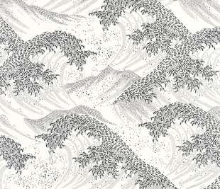 CASELIO_104360945_1_web