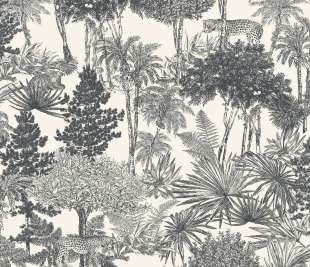 CASELIO_104280974_web