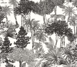 CASELIO_104280974_1_web